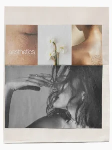 showit and wordpress web designer