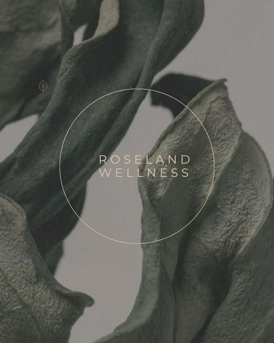 Wellness brand branding detail