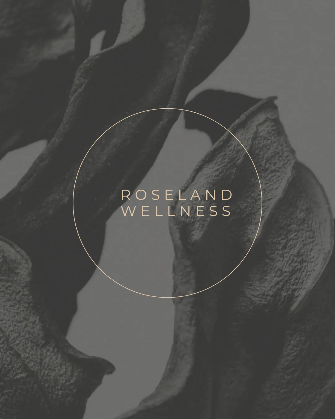 Wellness brand branding