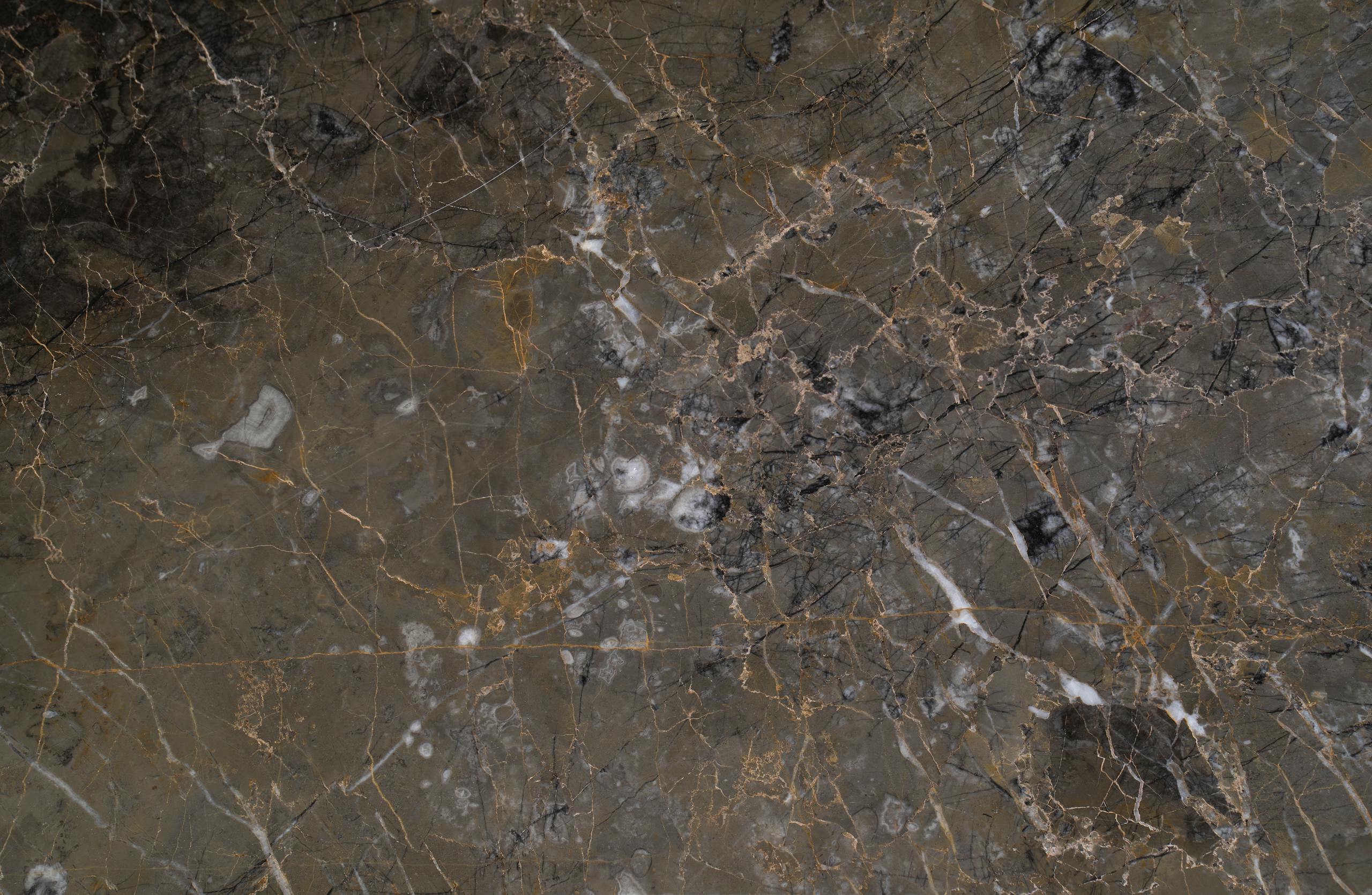 Close-up of dark marble texture showcasing intricate veining and patterns.