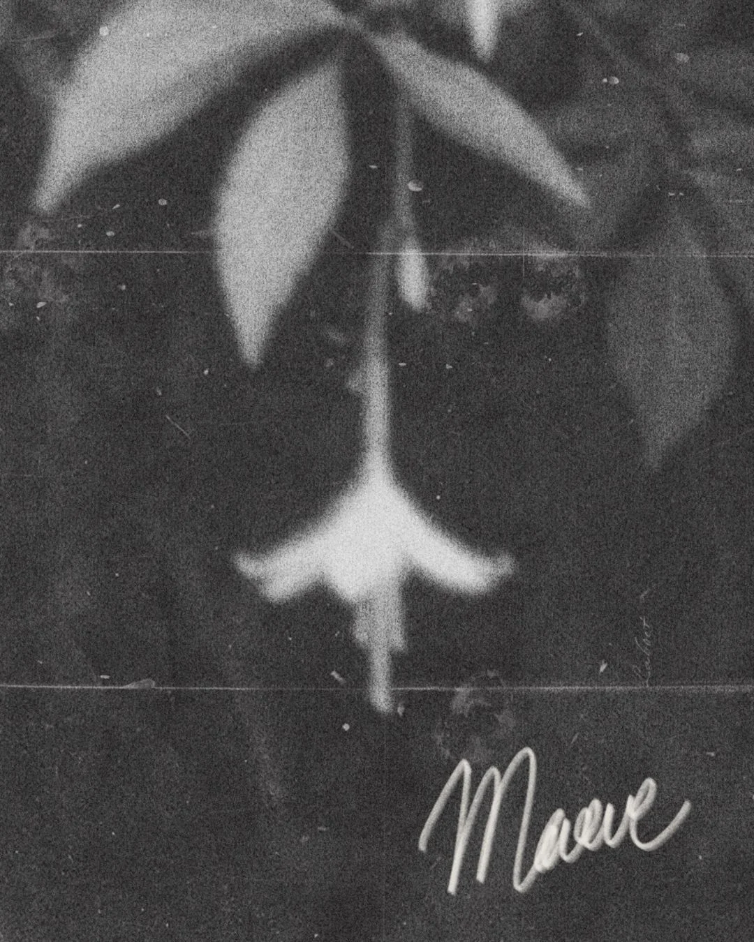 Maeve Wedding Floristry website design with terracotta background, hand-stamped yellow floral logo, handwritten Maeve wordmark, black and white couple photography, and a tulip photo, wedding florist branding by The Good Canvas